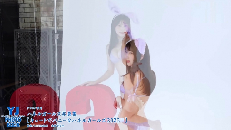 Risa Yukihira Cute and bunny082