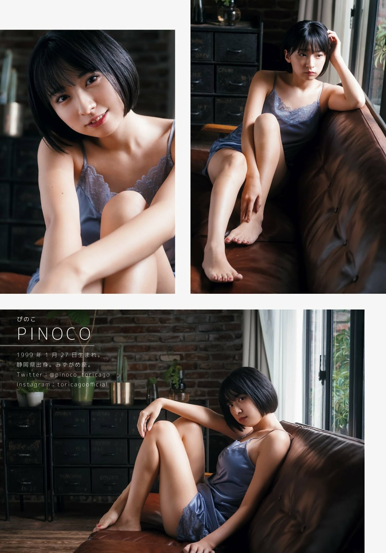 PINOCO3.jpg